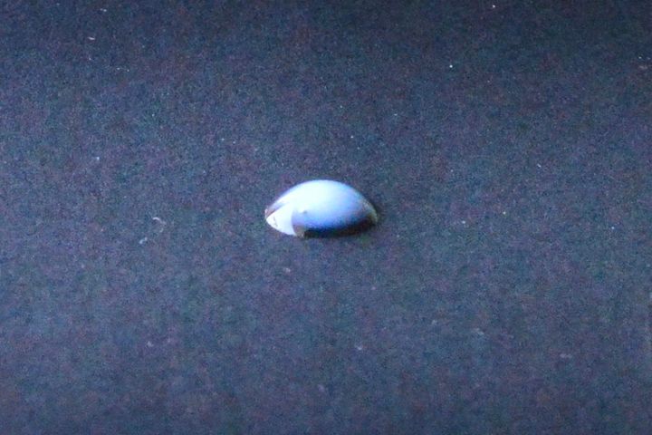 100均の滑り止めシールは用途がいっぱい！ハンガー用や靴下用も紹介