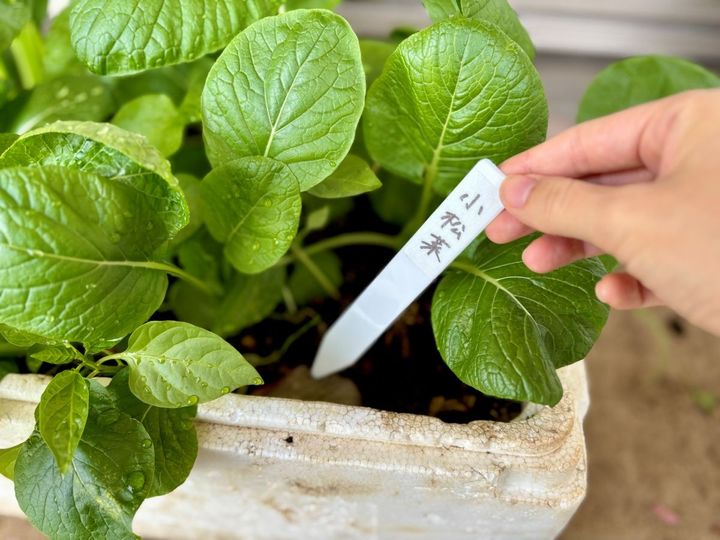 100均のネームプレート7選｜子供の名札や植物用も【ダイソー・セリア・キャンドゥ】