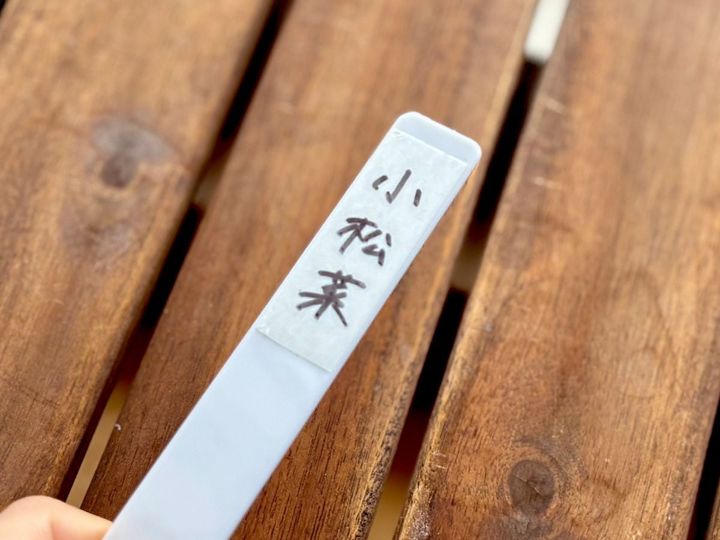 100均のネームプレート7選｜子供の名札や植物用も【ダイソー・セリア・キャンドゥ】