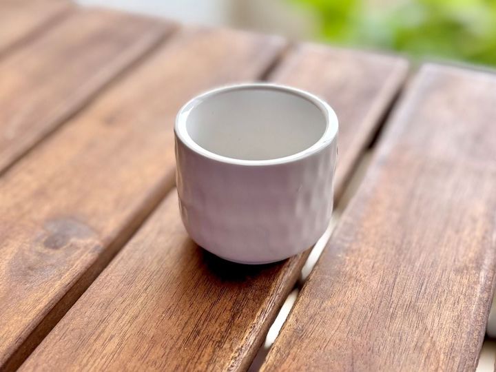 100均の植木鉢おすすめ5選！素焼きや陶器ならおしゃれで高見え♡