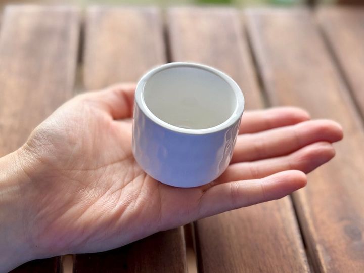 100均の植木鉢おすすめ5選！素焼きや陶器ならおしゃれで高見え♡