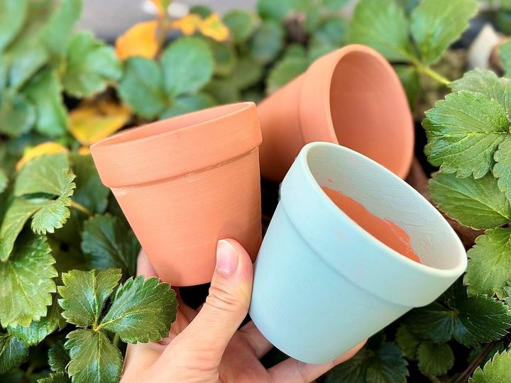 100均の植木鉢おすすめ5選！素焼きや陶器ならおしゃれで高見え♡