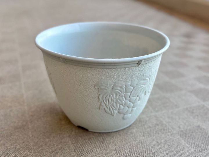 100均の植木鉢おすすめ5選！素焼きや陶器ならおしゃれで高見え♡