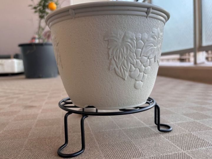 100均の植木鉢おすすめ5選！素焼きや陶器ならおしゃれで高見え♡