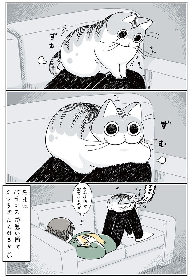 そんな所でおちつくのか （C）キュルZ／KADOKAWA