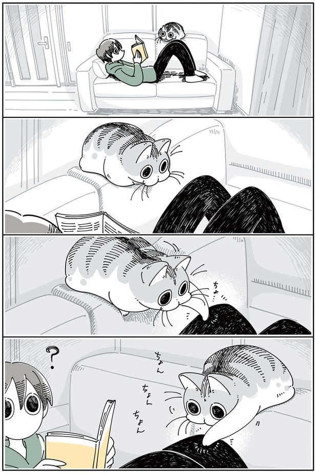 不思議な場所でくつろぐネコ （C）キュルZ／KADOKAWA