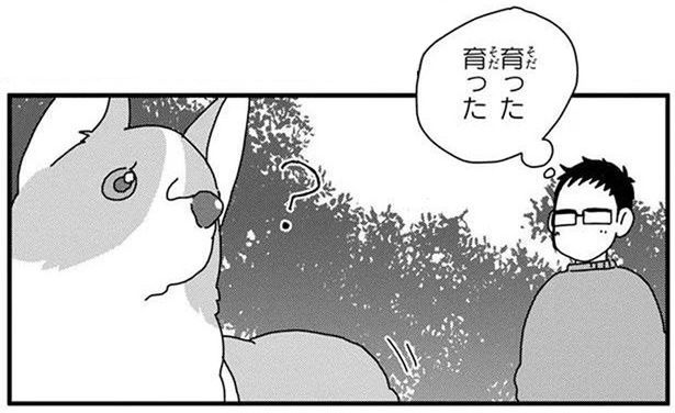 立派に育ったな！飼い主が夏から冬にかけて密かに楽しみにしていること (C)らくだ／KADOKAWA