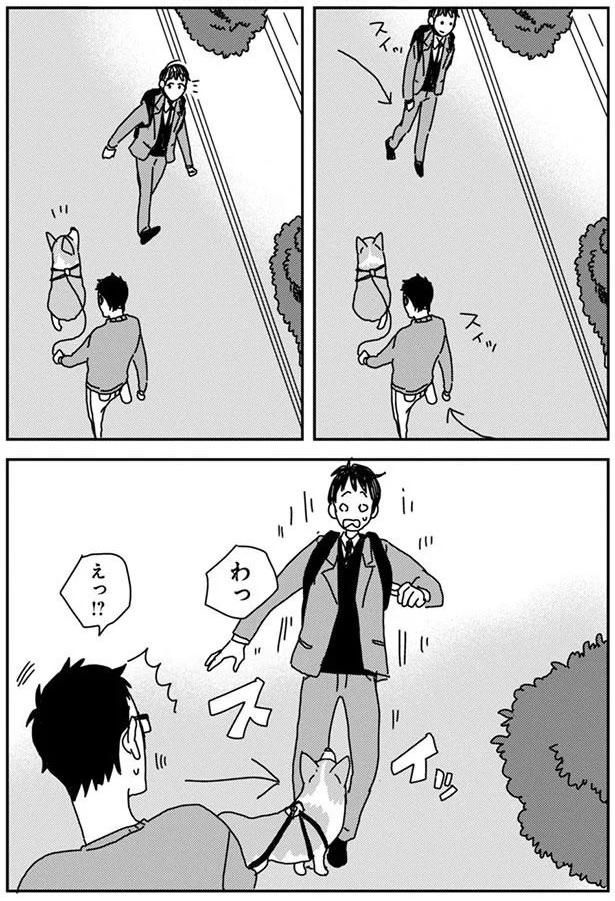 ぼくしゅきセンサー (C)らくだ／KADOKAWA