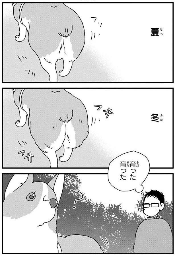 実り (C)らくだ／KADOKAWA