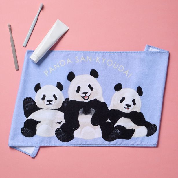 パンダ3きょうだい シャンシャン・シャオシャオ・レイレイ ふわふわフェイスタオル