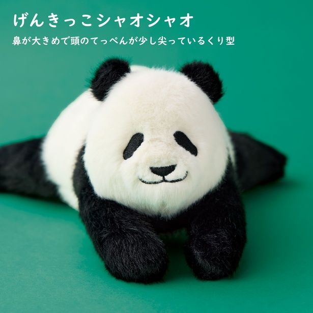 のんびりポーチ(シャオシャオ)