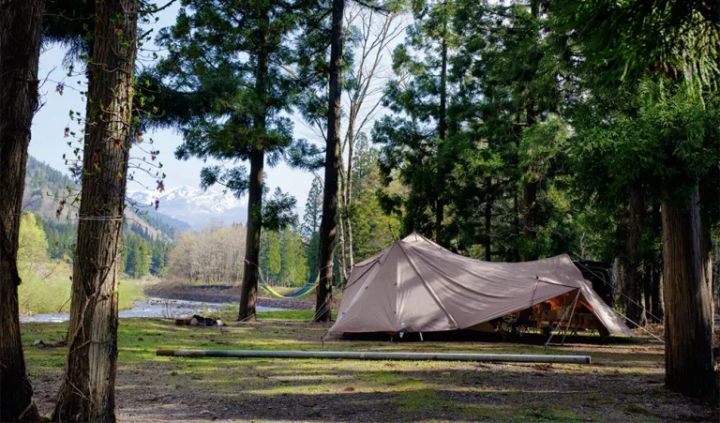 理想は自然、不満はトイレ問題？キャンパーの本音調査で見えた課題とは？