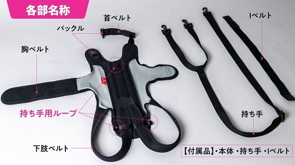 シニア犬の姿勢や背骨をサポートするアシストウェア「わんコルLIFE」先行販売！