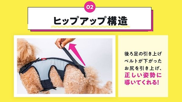 シニア犬の姿勢や背骨をサポートするアシストウェア「わんコルLIFE」先行販売！