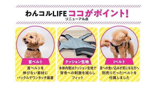シニア犬の姿勢や背骨をサポートするアシストウェア「わんコルLIFE」先行販売！