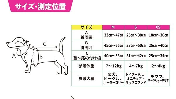 シニア犬の姿勢や背骨をサポートするアシストウェア「わんコルLIFE」先行販売！