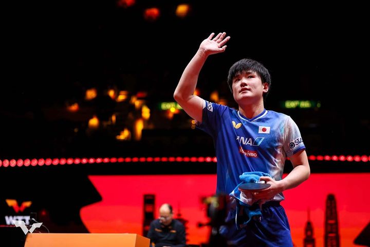 張本智和（C）WTT