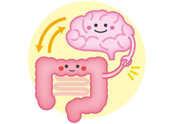 腸と脳の関係 イラスト