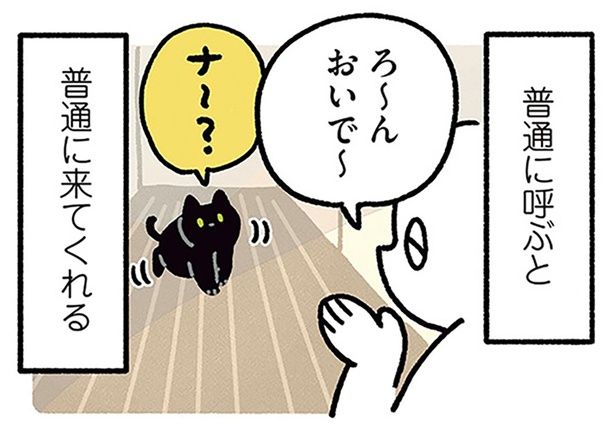 普通に呼ぶと普通に来てくれる （C）AKR／KADOKAWA