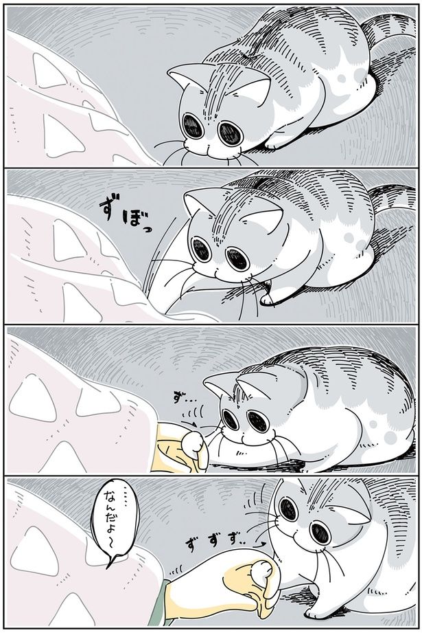 ずぼりっ （C）キュルZ／KADOKAWA