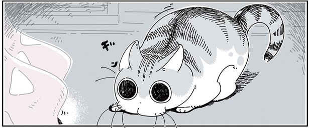 ギン！ （C）キュルZ／KADOKAWA