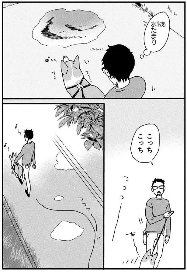 水たまり (C)らくだ／KADOKAWA