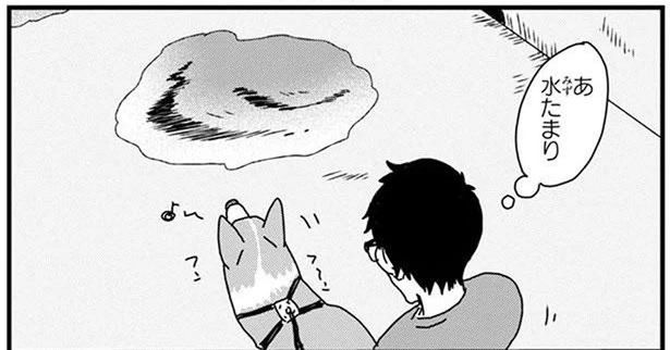 雨上がりのコーギーあるある？水たまりを避けたはずなのに (C)らくだ／KADOKAWA