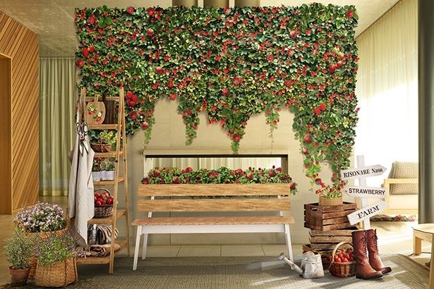 【写真】いちご農園をイメージした空間