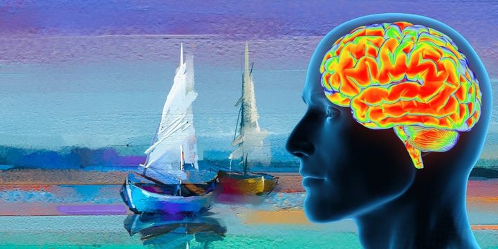 「脳の電気代」が美を制御している