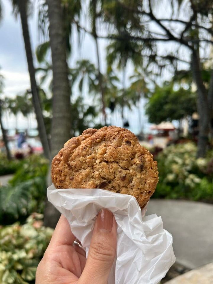 くるみ入りオートミールチョコチップ