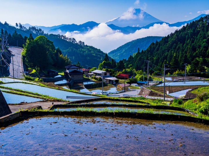 All About ニュース編集部が全国250人を対象に実施した「老後に住みたい自治体に関するアンケート」の調査結果から、老後に住みたい「山梨県の自治体」ランキングを発表！ 2位「南アルプス市」を抑えた1位は？