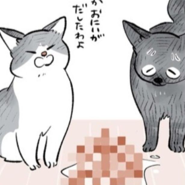 嘔吐する飼い猫 画像提供：長谷川ろくさん