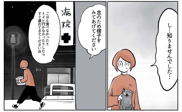 「こねこのドレイ10」13/16 画像提供：長谷川ろくさん