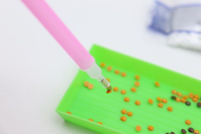 ビーズアートキット絵画（ライオン／建物） ペン先にビーズをつける