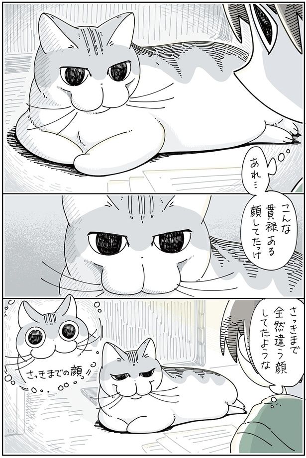 貫禄がある… （C）キュルZ／KADOKAWA