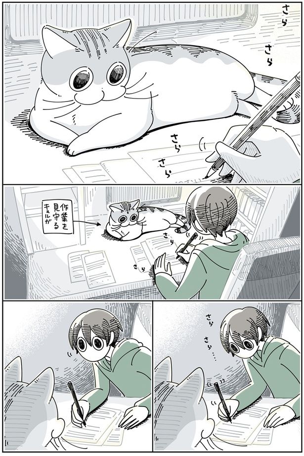 じーっ （C）キュルZ／KADOKAWA