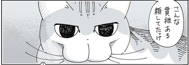 さっきと顔が違う？ （C）キュルZ／KADOKAWA