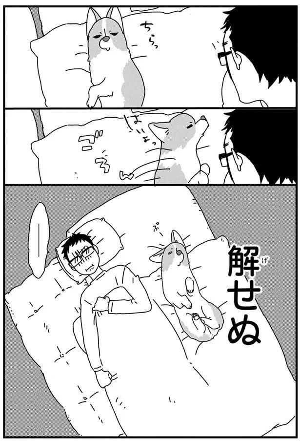 解せぬ (C)らくだ／KADOKAWA