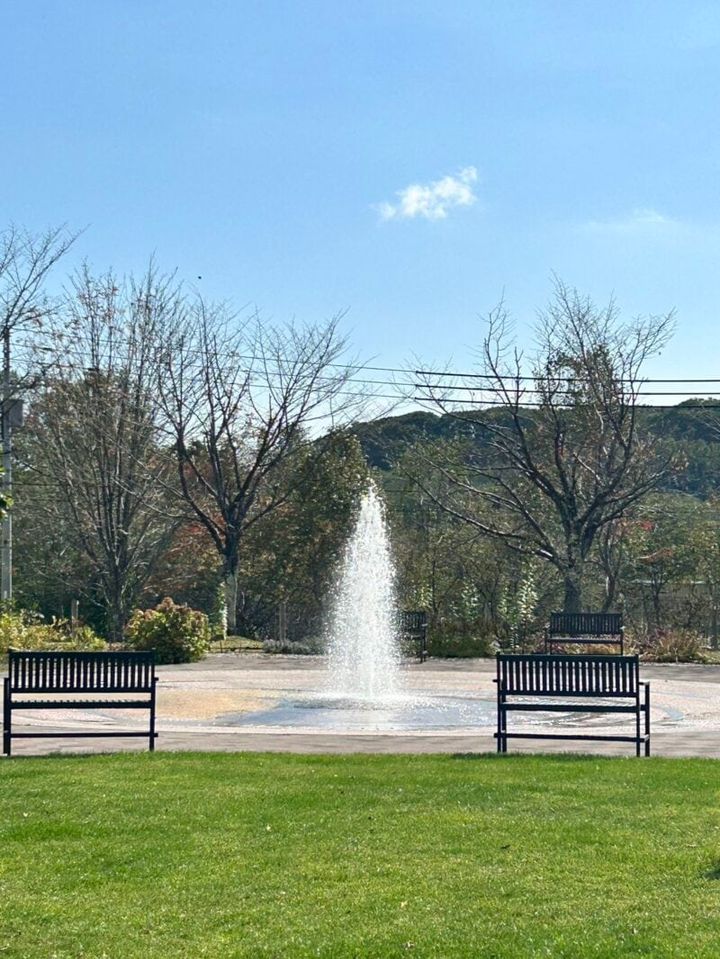 ナチュラルガーデン