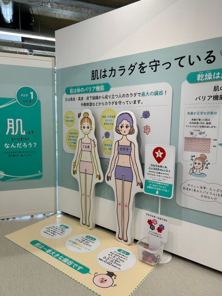 肌とからだのチャレンジ展