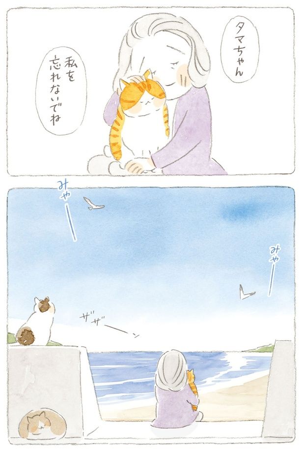 私を忘れないでね （C）ねこまき（ミューズワーク）／KADOKAWA