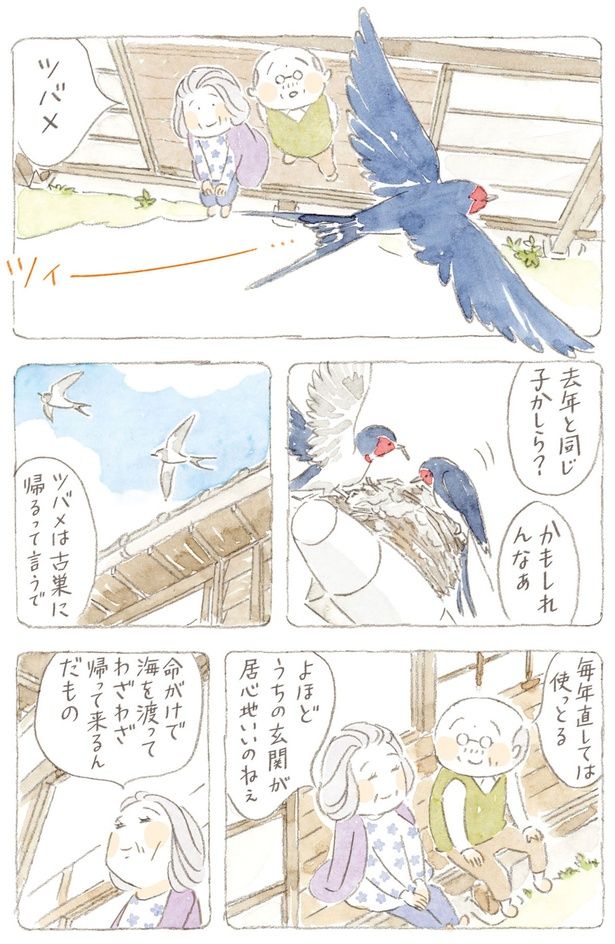 よほどうちの玄関が居心地いいのねぇ （C）ねこまき（ミューズワーク）／KADOKAWA