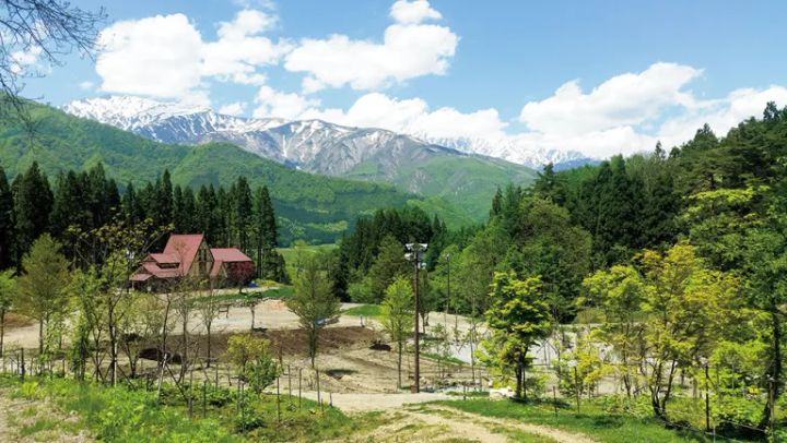 3面ガラスで火が踊る！調理もできる万能な多機能薪ストーブがロマン爆発！