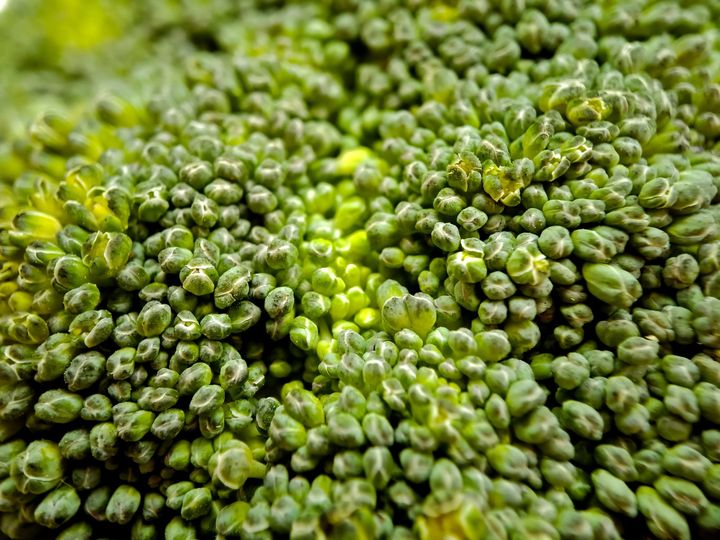 NG①つぼみが開きかけている