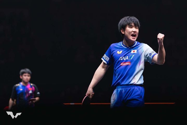 張本智和（C）WTT