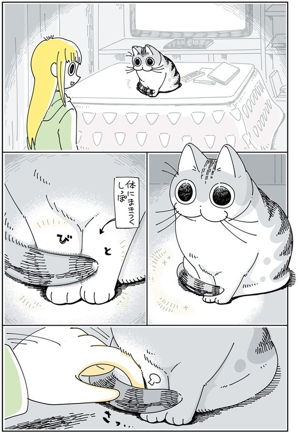  しっぽを真っ直ぐにしたい （C）キュルZ／KADOKAWA