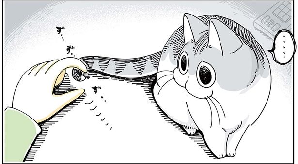 しっぽで… （C）キュルZ／KADOKAWA