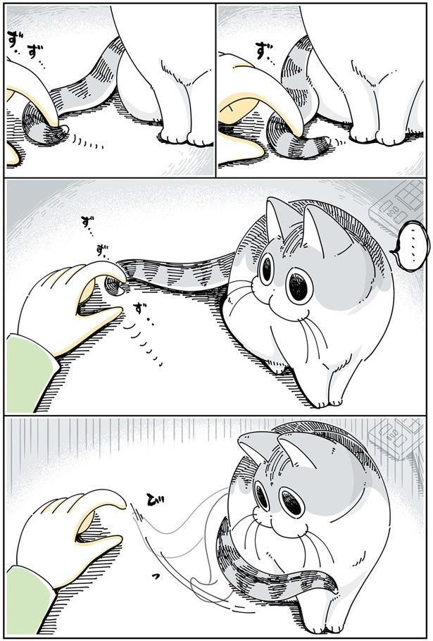 のびろ～ （C）キュルZ／KADOKAWA