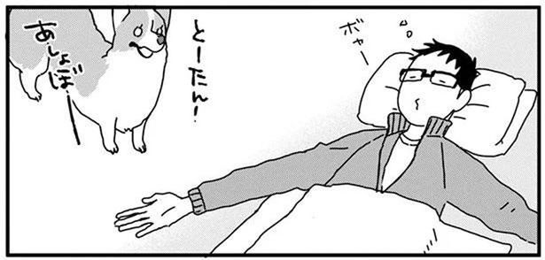 これはラクかも！うちのワンコが気に入ったボール遊び (C)らくだ／KADOKAWA