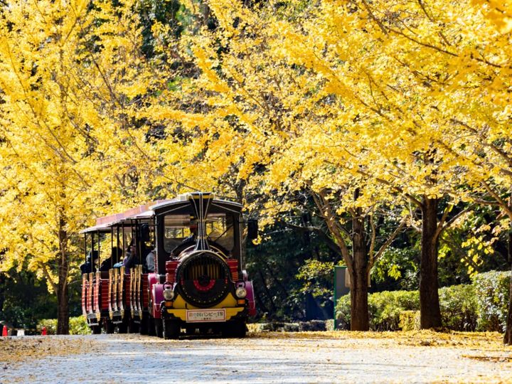 All About ニュース編集部が全国250人を対象に実施した「外国人観光客におすすめしたい関東の温泉地に関するアンケート」の調査結果から、埼玉県で「外国人観光客におすすめしたい温泉地」ランキングを発表！ 3位「柴原温泉」を抑えた同率1位は？